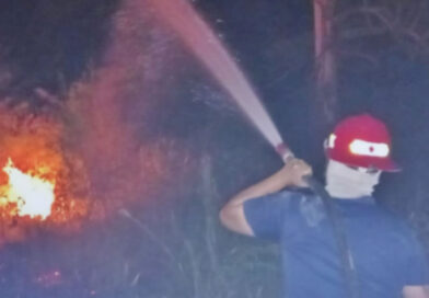 Bomberos trabajaron en un incendio de pastizales que afectó cinco hectáreas y puso en riesgo una vivienda