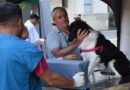 PROGRAMA DE ESTERILIZACIONES BARRIALES