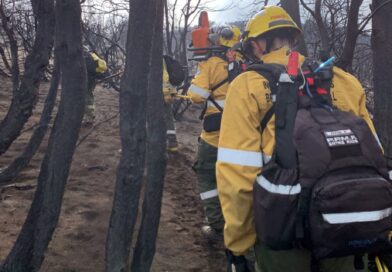 Concluyeron las tareas de los brigadistas entrerrianos en bosques patagónicos