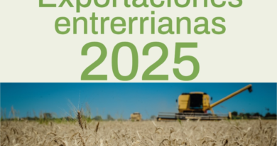 Las ventas de Entre Ríos al mundo crecieron 47 por ciento en el último año y casi 100 por ciento desde 2023