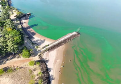 Preocupa el verdín y las playas clausuradas en el río Uruguay porque es la prueba de un río abandonado