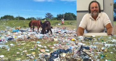 Multas, cámaras o inspectores: ¿qué evalúa el municipio para frenar los microbasurales?