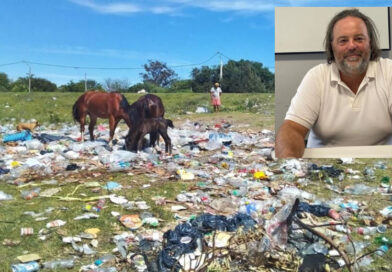 Multas, cámaras o inspectores: ¿qué evalúa el municipio para frenar los microbasurales?