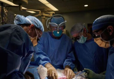 Hito en la medicina nacional: se realizó la primera donación de corazón pediátrico en asistolia controlada