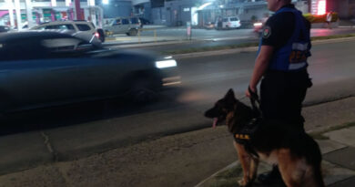 Refuerzan la presencia policial con patrullajes de la Montada y Canes en los barrios