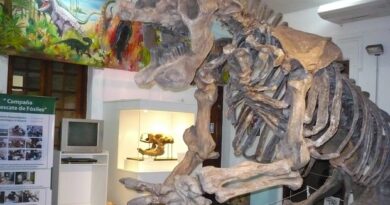 NUEVA EDICIÓN DE LA “LA NOCHE DE LAS LINTERNAS” EN EL MUSEO DE ANTROPOLOGÍA