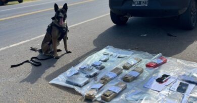 La Policía de Entre Ríos secuestró casi ocho kilos de droga en Concordia y detuvo a dos personas