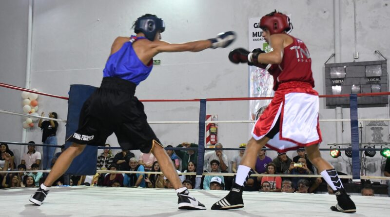 PROGRAMA “REFERENTES DEPORTIVOS BARRIALES2: CLASES NO ARANCELADAS DE BOXEO