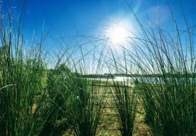 Regresaron los días soleados: Cuándo vuelve el calor a la región de Salto Grande