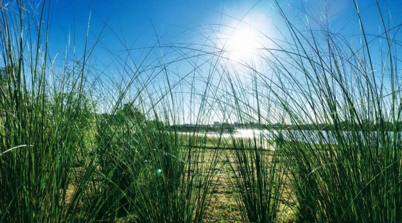 Regresaron los días soleados: Cuándo vuelve el calor a la región de Salto Grande