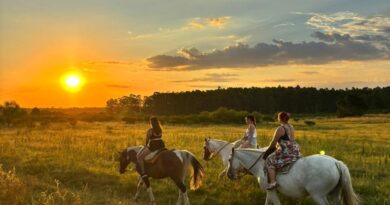 CONCORDIA INVITA A DISFRUTAR UN FIN DE SEMANA LARGO CON MÚLTIPLES ACTIVIDADES