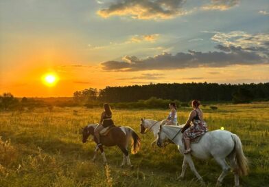 CONCORDIA INVITA A DISFRUTAR UN FIN DE SEMANA LARGO CON MÚLTIPLES ACTIVIDADES