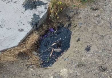 Hizo un pozo para plantar un árbol en su casa y empezó a salir petróleo