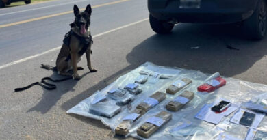 Incautan cocaína y marihuana en un control vehicular y procesan con prisión preventiva a los ocupantes