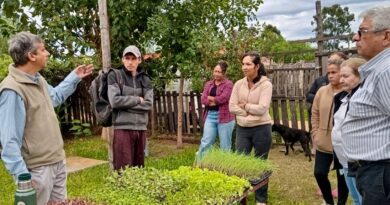 EL PROGRAMA DE HUERTAS FAMILIARES CONTINÚA BENEFICIANDO A VECINOS DE CONCORDIA