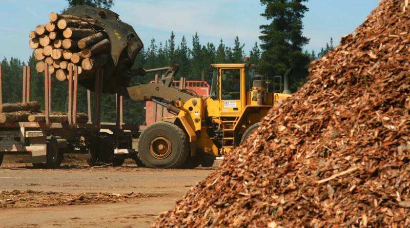 Construirán en Corrientes una megaplanta de celulosa que impactará en la producción forestal de toda la región