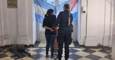 Pidió ayuda por las amenazas de su hijo y luego atacó a la policía para que el agresor escape