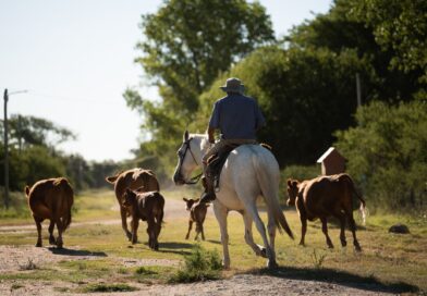 Veintisiete localidades entrerrianas entre el Dep. Concordia se integran a la plataforma STAR de ONU Turismo TURISMO