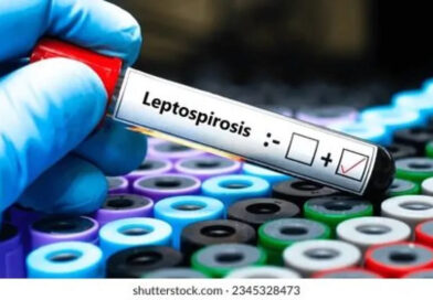 Aumento de leptospirosis: Entre Ríos ya registra 15 contagios en personas en lo que va del año