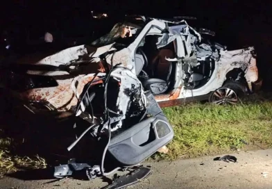 Ruta 14: un caballo provocó un grave accidente que involucró a un camión, una camioneta y un automóvil