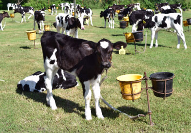 Están vigentes las líneas de crédito a valor producto para productores entrerrianos