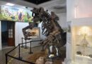 EL MUSEO DE CIENCIAS NATURALES CUMPLE 30 AÑOS CUSTODIANDO NUESTRA HISTORIA
