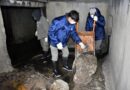 Plan de contingencia urbana: en Concordia intensifican la limpieza de arroyos y pluviales para evitar anegamientos
