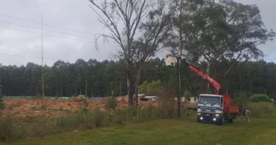 Un árbol cayó sobre una línea de media tensión y dejó sin luz a dos localidades