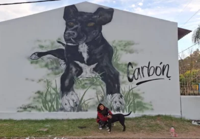 El mural de “Carbón” en una escuela de Villa Adela se viralizó y generó repercusión nacional