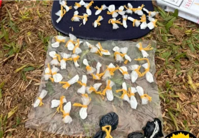 Detuvieron a adolescente y a joven con 80 envoltorios de cocaína fraccionada para la venta