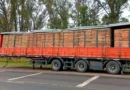 Camionero de la región denunció que lo secuestraron en Santa Fe y le robaron su camión