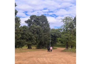 Hace casi un año estuvo a punto de morir en el Parque San Carlos pero se recuperó y volvió