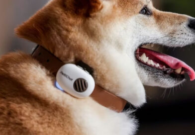 Una empresa china presentó un collar con IA que «traduce» los sonidos de las mascotas