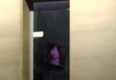 Sobre el video que muestra pornografía desde una ventana del municipio de Concordia: investigan y anticiparon sumarios