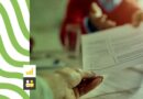 CHARLA ABIERTA “PRIMEROS PASOS HACIA EL EMPLEO”