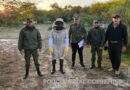 Allanan un campo correntino en Sauce y recuperan 40 colmenas robadas en Entre Ríos