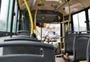 Transportistas no se oponen a un boleto para Salud, pero advierten que ya el 50 % de los usuarios viaja sin costo
