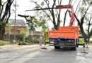 CORTES DE TRÁNSITO POR TRABAJOS DE PODA