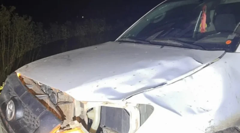 Una camioneta chocó contra un animal vacuno en un camino vecinal de la región