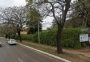 CORTES DE TRÁNSITO POR TRABAJOS DE PODA