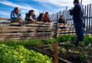 oncordia fortalece las políticas de producción sustentable con el nuevo Programa de Huertas Agroecológicas Integradas