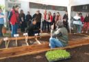 MÁS FAMILIAS ACCEDEN AL PROGRAMA DE HUERTAS AGROECOLÓGICAS INTEGRADAS