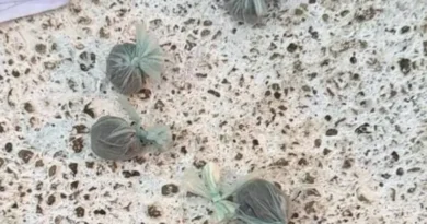 Operativo policial en 13 barrios de Concordia: Secuestraron marihuana y cocaína