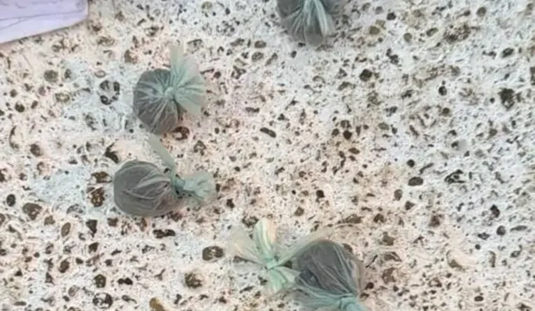 Operativo policial en 13 barrios de Concordia: Secuestraron marihuana y cocaína