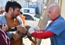 EL PROGRAMA DE ESTERILIZACIONES BARRIALES GRATUITAS ATENDERÁ EN EL BARRIO ISTHILART