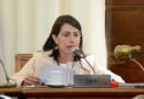 Reforma previsional: Laner defendió el debate impulsado por el oficialismo y aseguró que permitió mejorar el proyecto de ley