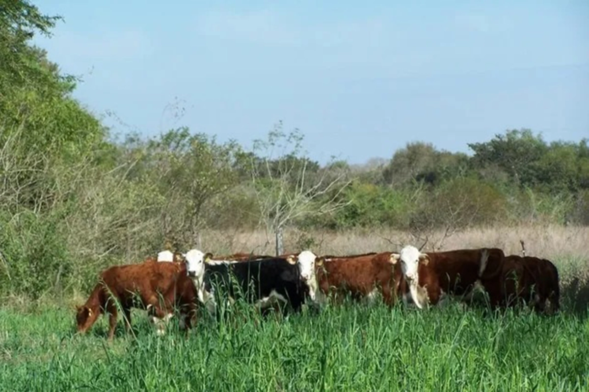 Entre Ríos recuperó 124.000 hectáreas de tierras fiscales