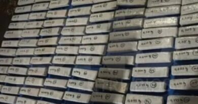 Condenan a trabajador de la Municipalidad de Colón que almacenaba 77 kilos de marihuana