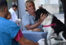 EL PROGRAMA DE ESTERILIZACIONES ATENDERÁ EN EL BARRIO SAN MARTÍN
