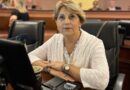 Para Salinas la reforma previsional es“un tema incómodo, pero que había que tocarlo”